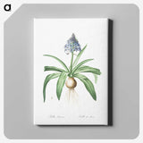 2-88_The-Lilies_canvas
