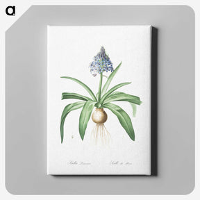 2-88_The-Lilies_canvas