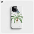 2-88_The-Lilies_phone