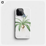 2-88_The-Lilies_phone
