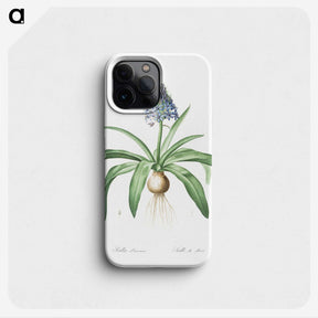 2-88_The-Lilies_phone