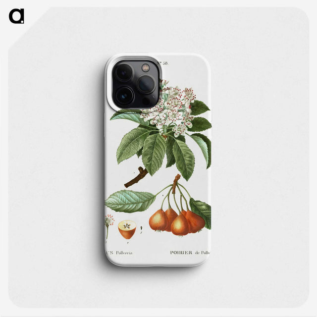 2-88_Treatise-on-Trees-and-Shrubs_phone