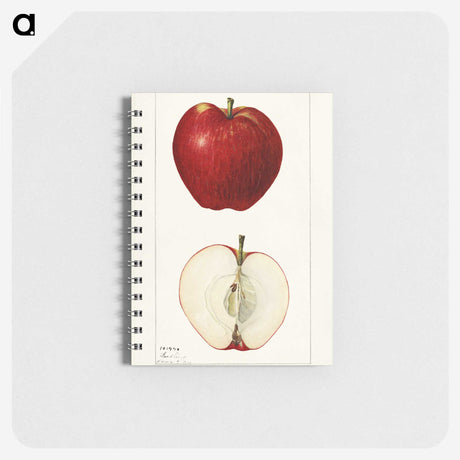 2-88_USDA-Watercolor-Fruit-Painting-Collection_memo