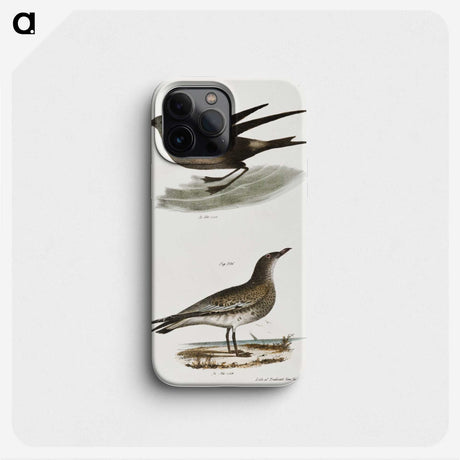 2-88_Zoology-of-New-York_phone