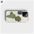 2-89_Anselmus-Boetius-de-Boodt_phone