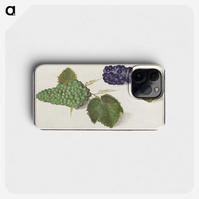 2-89_Anselmus-Boetius-de-Boodt_phone