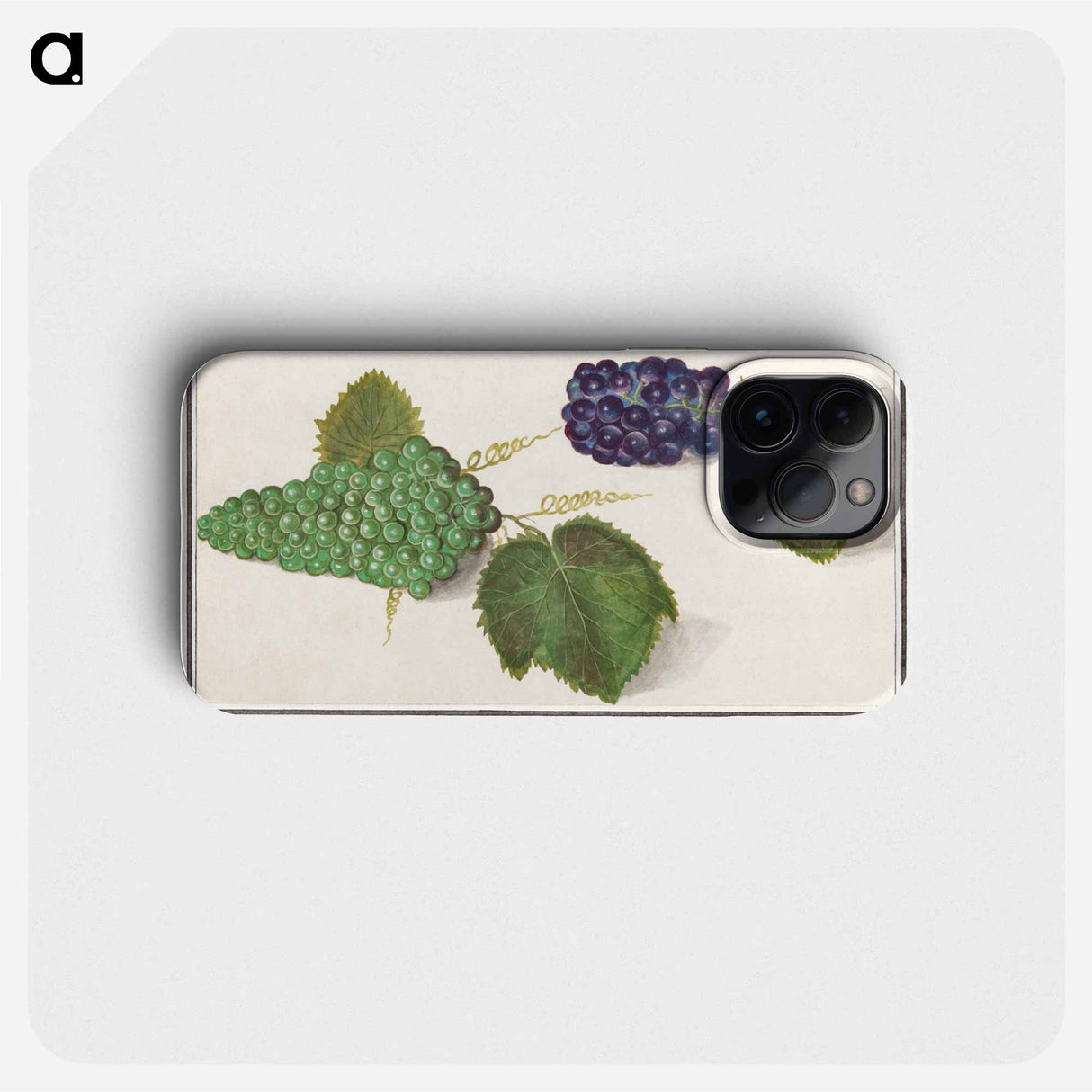 Grape - アンセルムス ボエティウス デ ブート Phone Case.