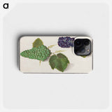 Grape - アンセルムス ボエティウス デ ブート Phone Case.