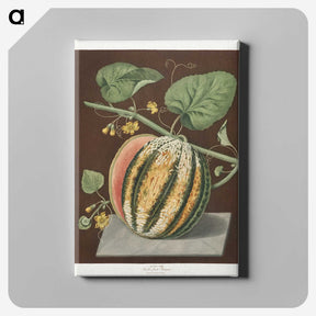 2-89_Cleveland-Museum-of-Art_canvas