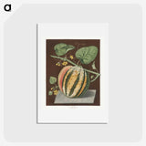 2-89_Cleveland-Museum-of-Art_hagaki