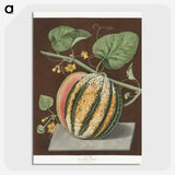 2-89_Cleveland-Museum-of-Art_picture-crop