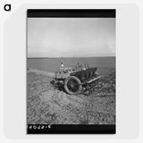2-89_Dorothea-Lange_picture-crop