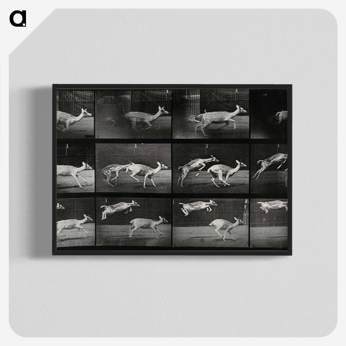 2-89_Eadweard-Muybridge_blk-crop