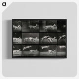 2-89_Eadweard-Muybridge_blk-crop