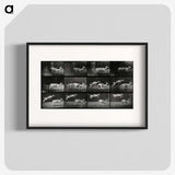 2-89_Eadweard-Muybridge_blk