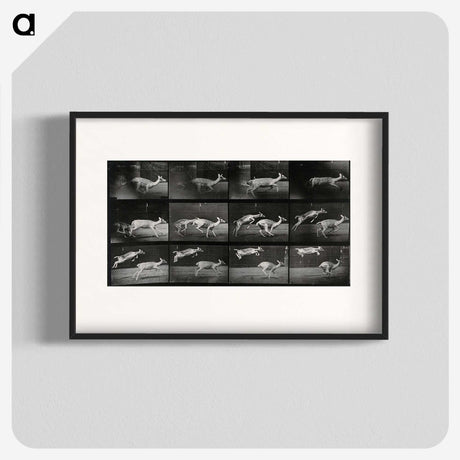 2-89_Eadweard-Muybridge_blk