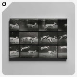 2-89_Eadweard-Muybridge_canvas