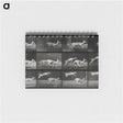 2-89_Eadweard-Muybridge_memo