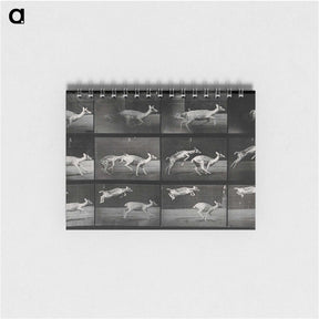 2-89_Eadweard-Muybridge_memo
