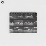アートメモ帳-Jumping Deer
 - エドワード マイブリッジ Memo.