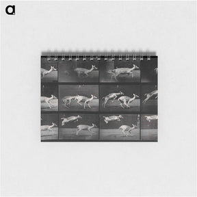 アートメモ帳-Jumping Deer
 - エドワード マイブリッジ Memo.