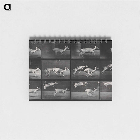 アートメモ帳-Jumping Deer
 - エドワード マイブリッジ Memo.
