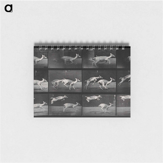 アートメモ帳-Jumping Deer
 - エドワード マイブリッジ Memo.