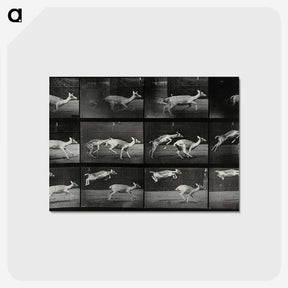 2-89_Eadweard-Muybridge_postcard