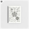 2-89_Ernst-Haeckel_memo