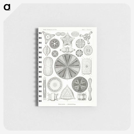 2-89_Ernst-Haeckel_memo