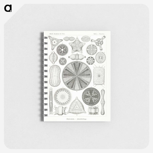 2-89_Ernst-Haeckel_memo