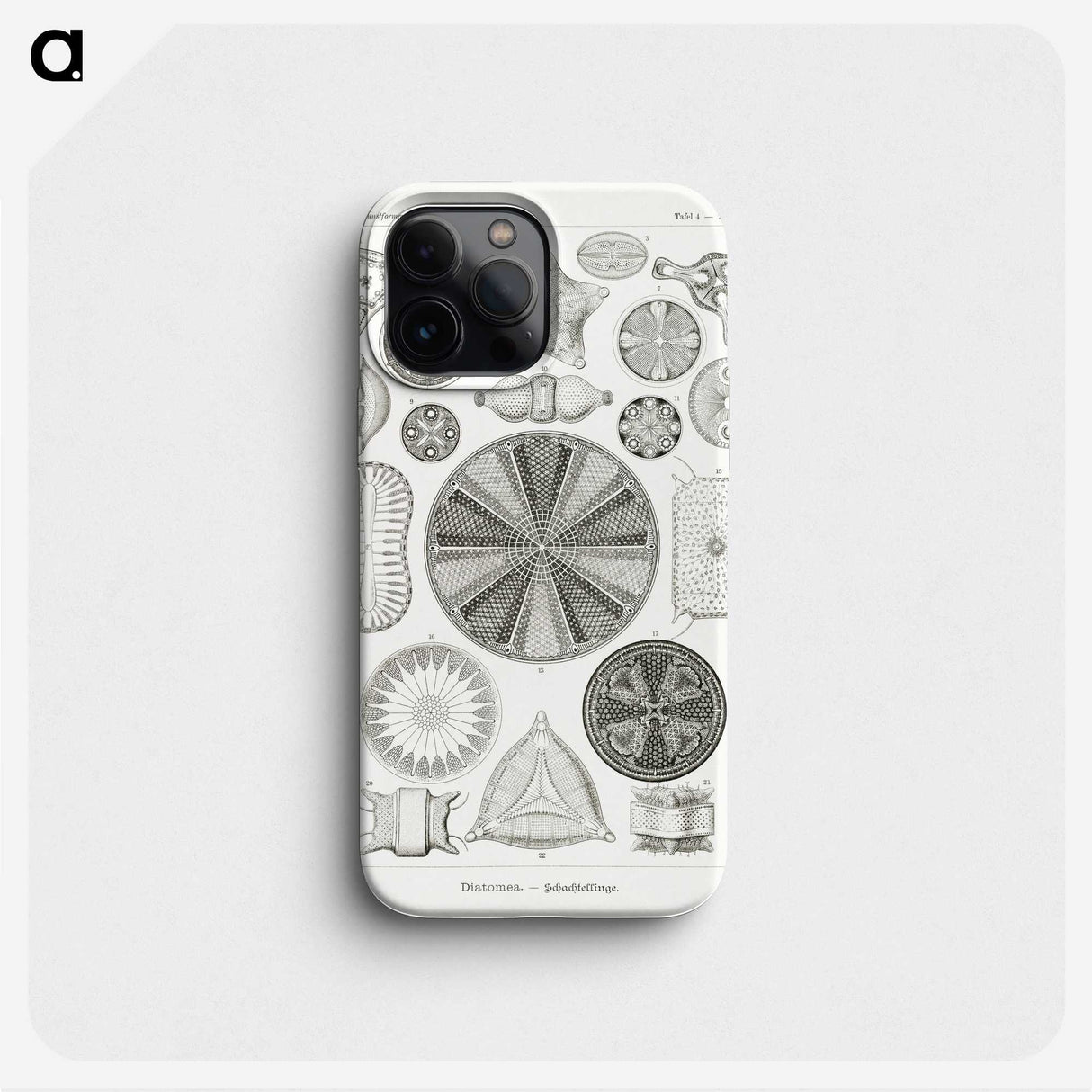 2-89_Ernst-Haeckel_phone