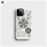 2-89_Ernst-Haeckel_phone