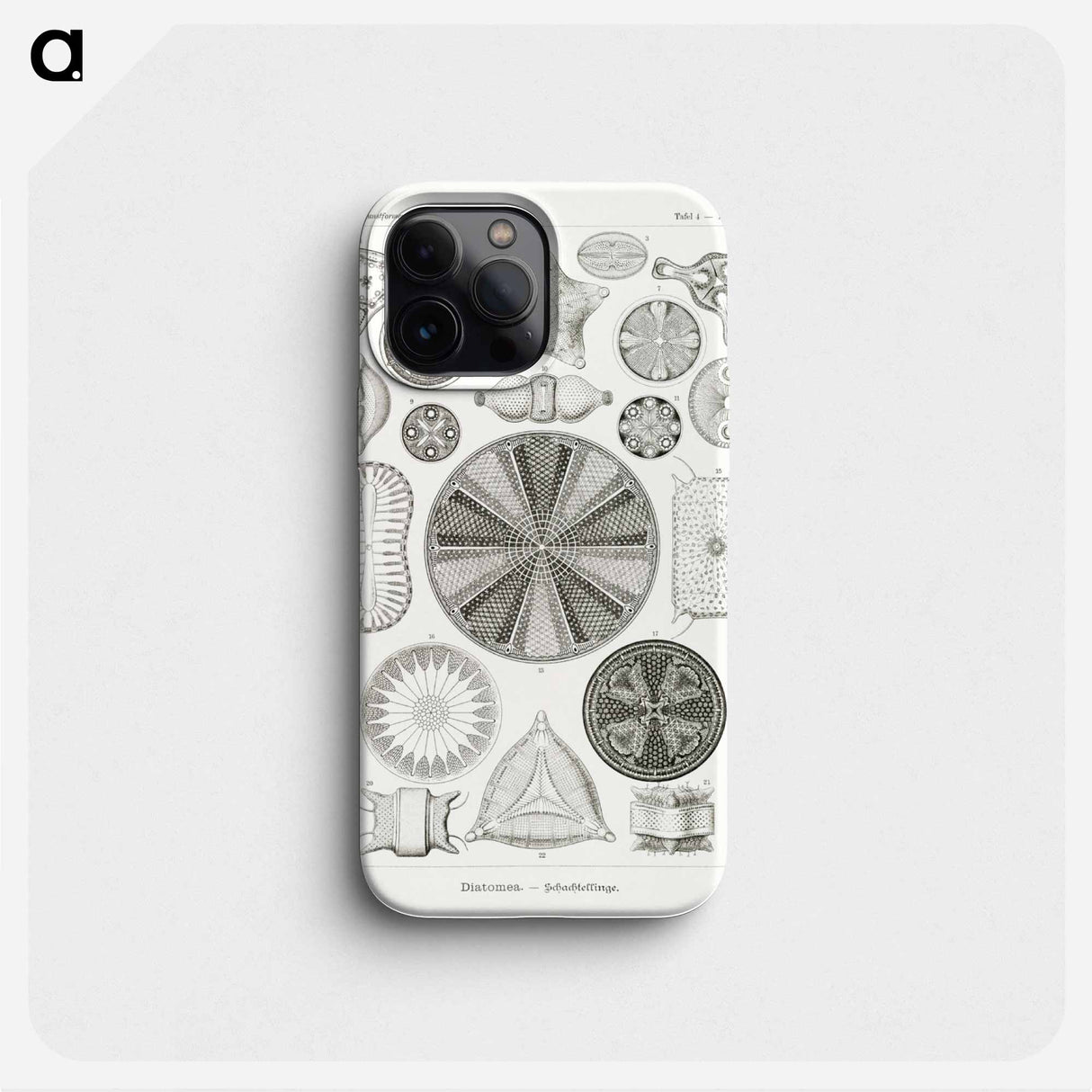 Diatomea–Schachtellinge from Kunstformen der Natur - エルンスト ヘッケル Phone Case.