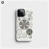 Diatomea–Schachtellinge from Kunstformen der Natur - エルンスト ヘッケル Phone Case.