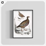 2-89_Indian-Zoology_blk-crop