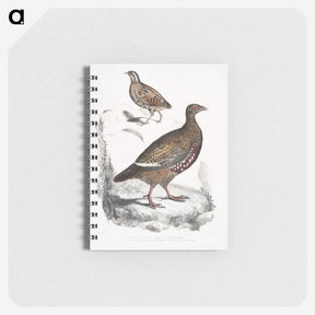 2-89_Indian-Zoology_memo