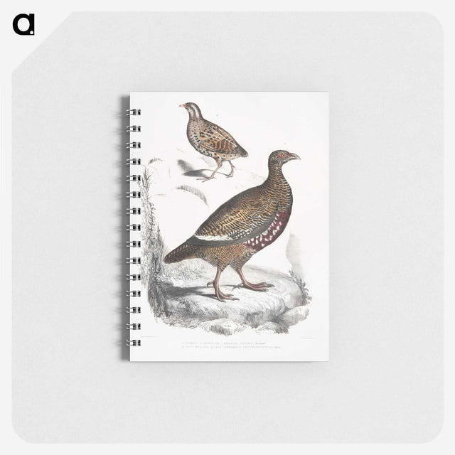 2-89_Indian-Zoology_memo
