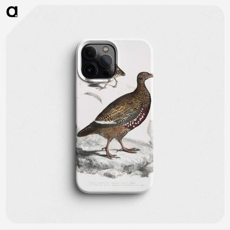 2-89_Indian-Zoology_phone