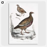 2-89_Indian-Zoology_picture-crop
