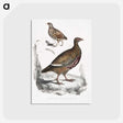 2-89_Indian-Zoology_postcard