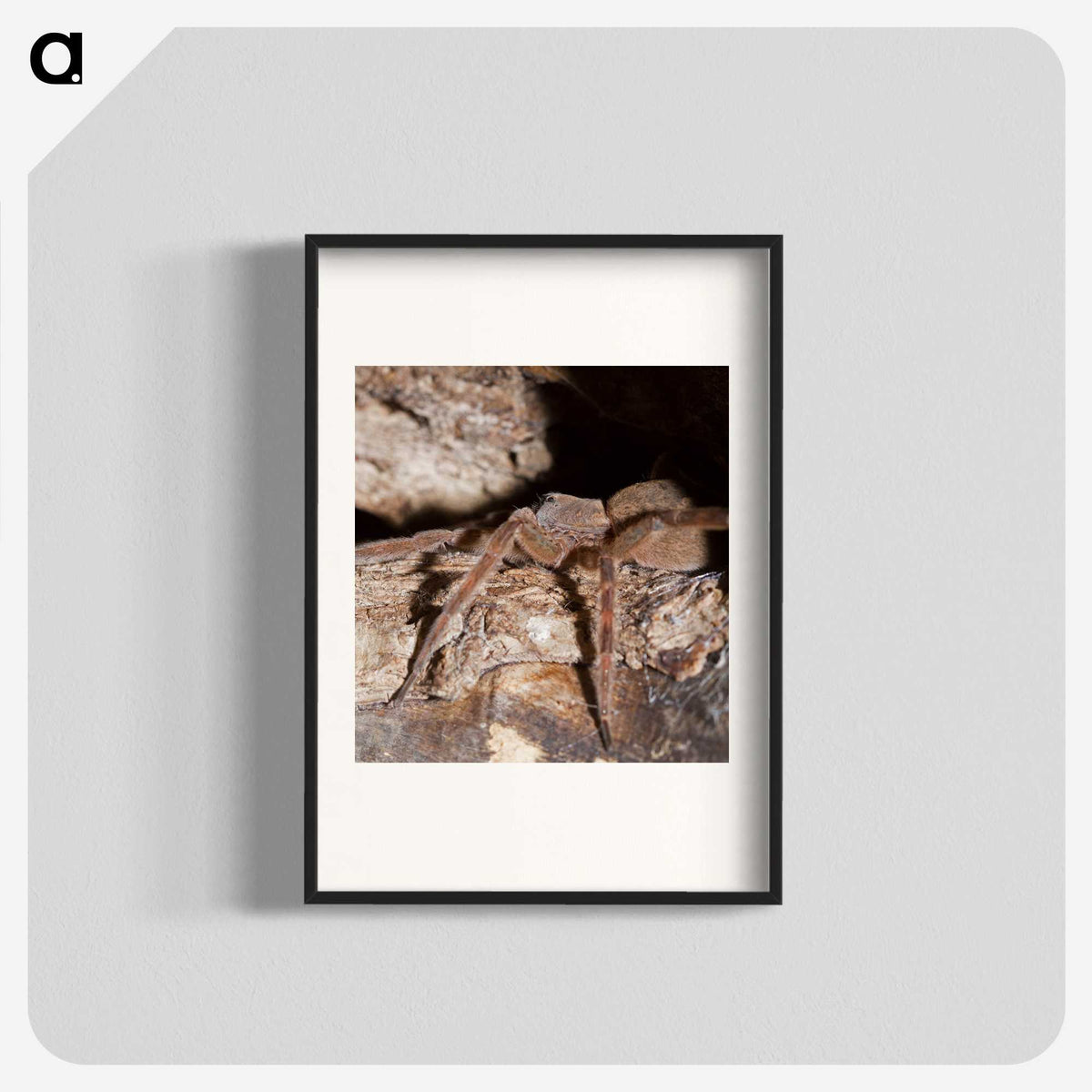 2-89_Insects-Unlocked-Project_blk