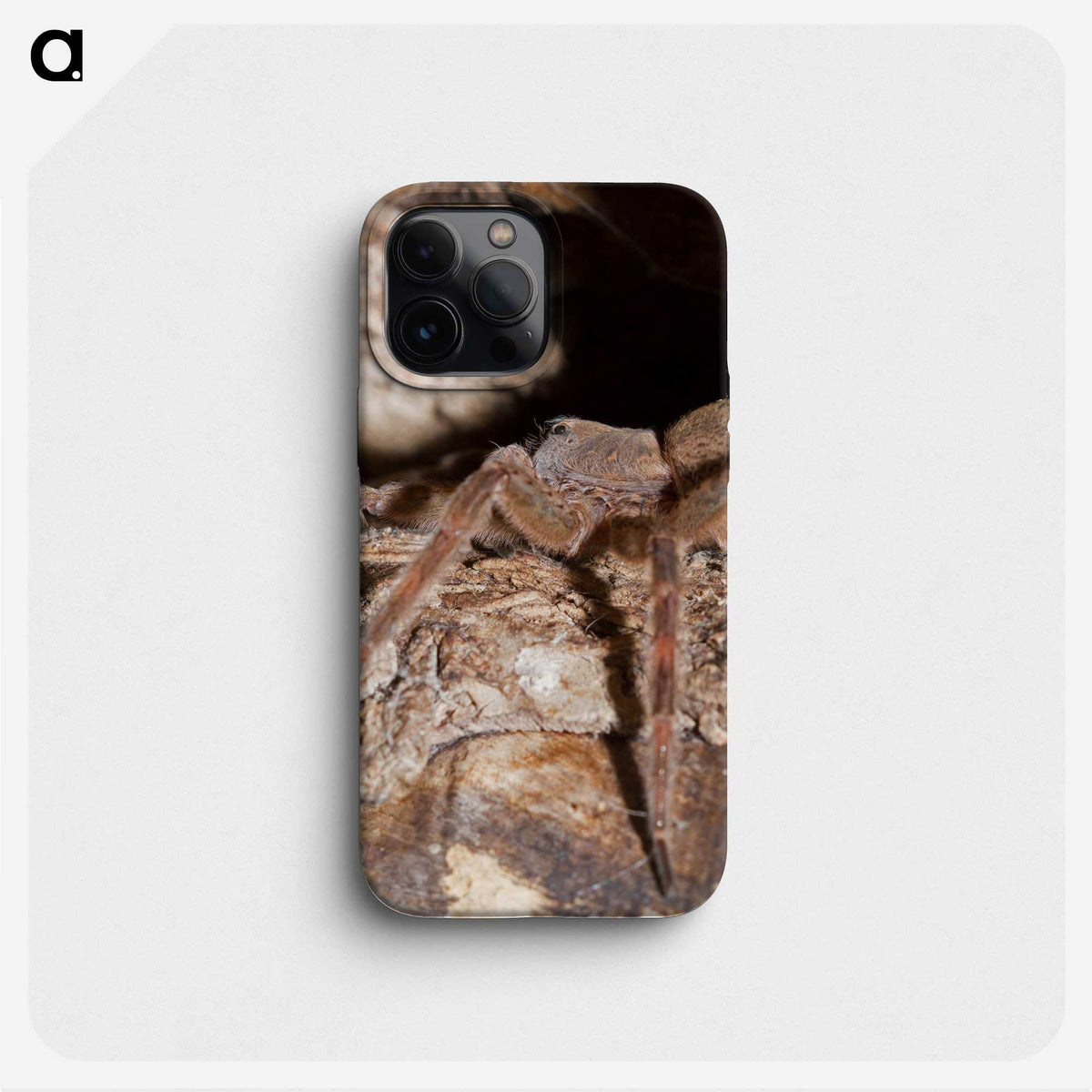 2-89_Insects-Unlocked-Project_phone
