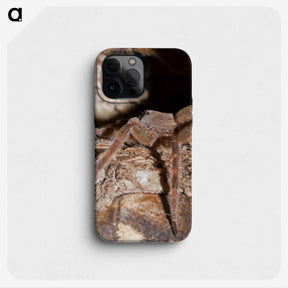 2-89_Insects-Unlocked-Project_phone
