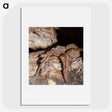2-89_Insects-Unlocked-Project_picture