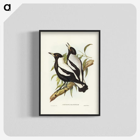 2-89_John-Gould_blk-crop