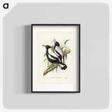 2-89_John-Gould_blk