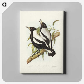 2-89_John-Gould_canvas