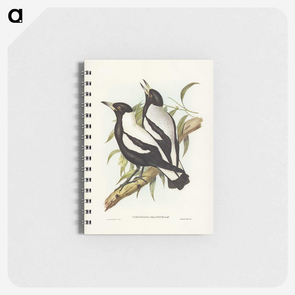 2-89_John-Gould_memo