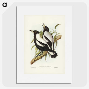 2-89_John-Gould_picture
